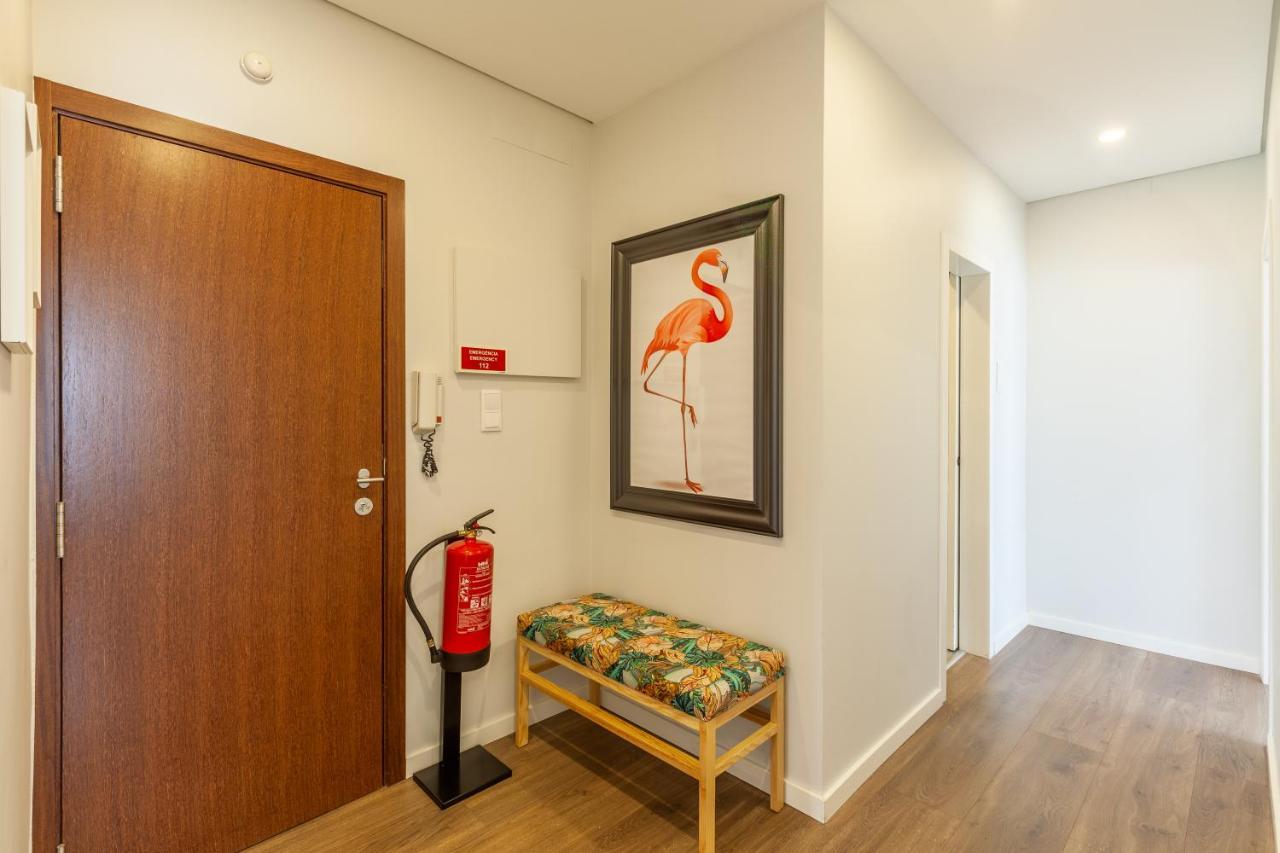 Flamingo Apartment In City Center - Minho'S Guest براغا المظهر الخارجي الصورة